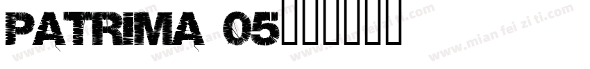 Patrima 05字体转换